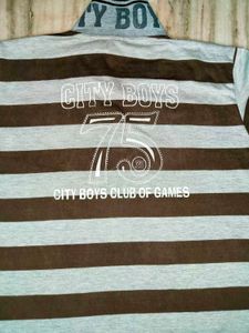 Boys Stripes Collar T-Shirt Half Sleeves