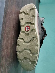 Casual Brown Shoes