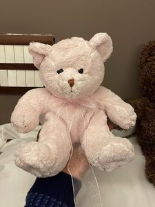 Adorable Teddy Bear Trio