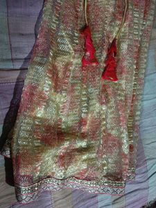A Beautiful Lehnga Choli 👀😍🥰
