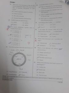 NEET All Question Papers