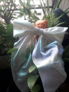 Hair Accessories