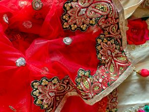 Swap Avl. Lehenga Saree