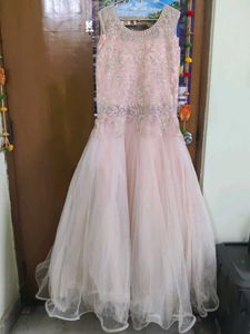 Blush Pink Embroidered Gown