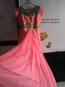 Elegant Ethnic Gown