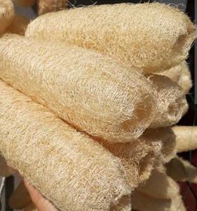 Natural Loofah