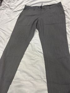 Pant