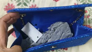 Brand New Clutch With Tag
