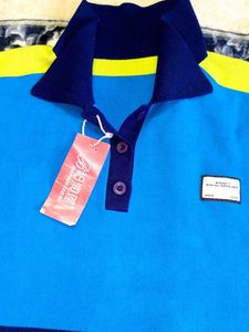 Korean Striped Polo T-Shirt💙