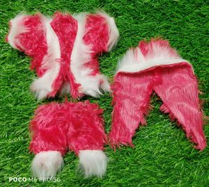 Winter Dress Laddu Gopal Ji Ki