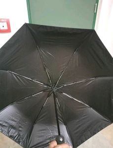 Umbrella