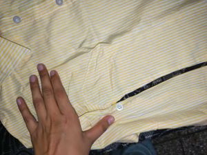 Summer Essential Pintresty Shirt For Women