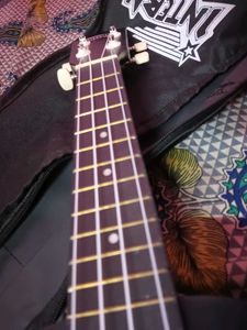 Intern Ukulele with Case