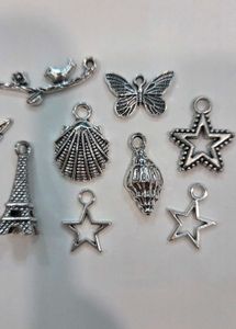 13 Silver Charm Mix
