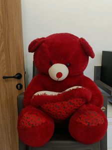 Premium Quality Teddy Bear