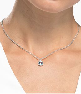 Delicate Silver Necklace