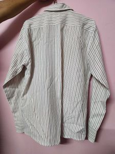 Striped Button-Down Shirt