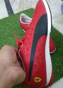 Puma Ferrari New Shoes