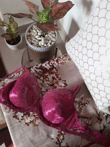 Sexy Bra