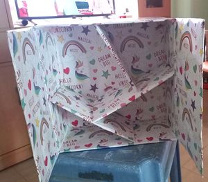 Storage Organizer
