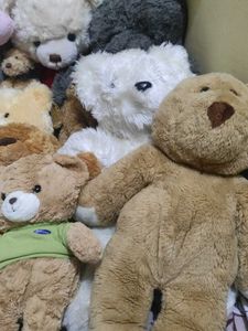 Bundle Of Teddy