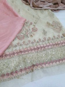 Organza Partywear Suit