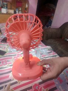 Fan With Light