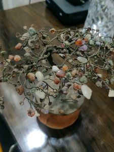 Fengshui Tree