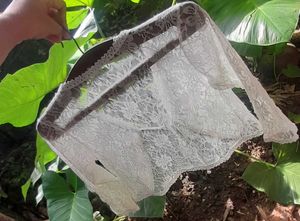 Lace Cardigan with Headpiece