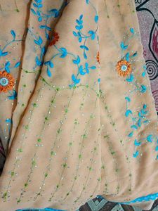 Light Orange Colour Saree