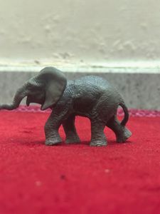 Kids Cutie Elephant