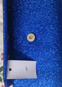 Brand New Clutch With Tag