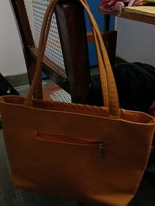 Zara Handbag