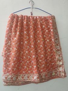 Heavy Resham Full Work Georget With Blouse P