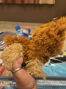 Adorable &#34;Little and Loved&#34; Plush