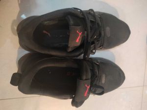 Uk 8 Size Puma Shoes For Men