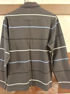 Striped Polo Shirt/ Sweatshirt