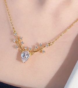 Deer Antler Necklace