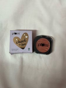 Plum Shimmer Blush