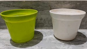 Bamboo plant pot