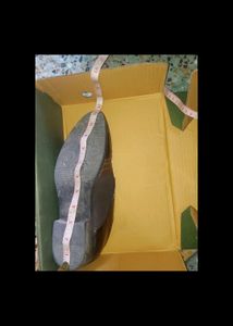 👞 Shoes Men Party Wear