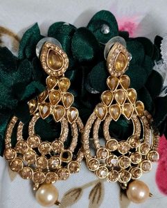 Elegant Golden Earrings