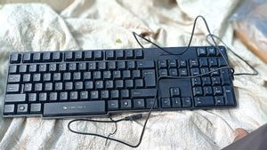 Zebronics Keyboard With Rupee Key