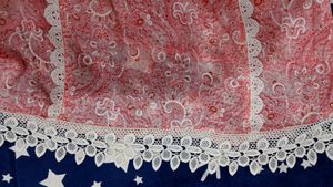 Pakistani Laces Work Kurti💕