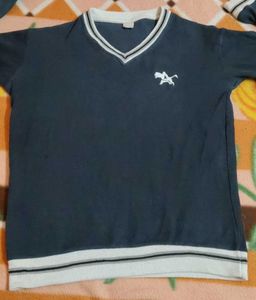 Stylish Blue V-Neck T-Shirt