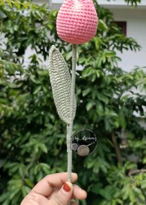 Closed Tulip Flower (1)