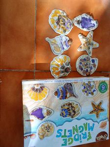 Shells Fridge Magnets
