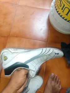 puma ferrari sf future cat shoes