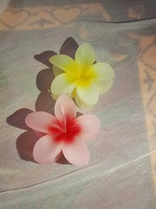 Flower Hair Claw Clips