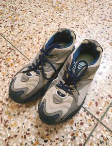 Sparx Shoes,  Size : 08